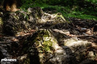 Der erste Teil der Bikepark-Strecke wurde für das Rennen ausgelassen
