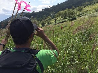 Trail-Scouting Trail-Scouting
