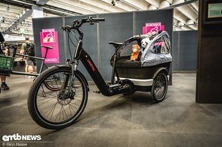 Limotec Trike Cargo: Das vordere Ende neigt sich, die Lastenplattform bleibt stabil und wagerecht.