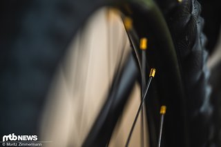 Normale Menschen haben 2 rote Nippel, Andi Kolb hat 64 goldene.