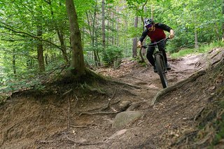 Auch auf den Hometrails wird es natürlich regelmäßig bewegt Auch auf den Hometrails wird es natürlich regelmäßig bewegt