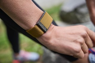 Für alle Nutzer des Whoop Fitness-Armbands ist der Whoop Coach kostenlos.