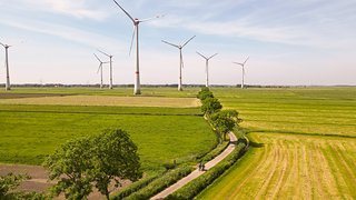 Was man bislang nur vereinzelt sah, ist hier allgegenwärtig. Was man bislang nur vereinzelt sah, ist hier allgegenwärtig.
