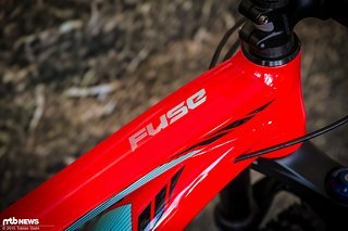 Fünf Rahmengrößen und drei Ausstattungslinien wird es beim Fuse geben