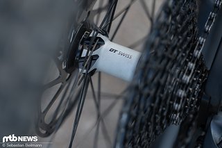 Die DT Swiss E1700 Spline Laufräder erfüllten leise, unauffällig und zuverlässig ihren Dienst