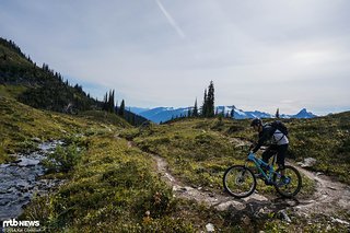 Stefan im Trailflow