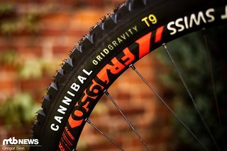 Der Specialized Cannibal Reifen sortiert sich im abfahrtsorientierten Spektrum ein Der Specialized Cannibal Reifen sortiert sich im abfahrtsorientierten Spektrum ein