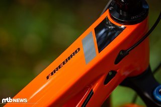 Pivot Firebird Review Product-3820 Pivot Firebird Review Product-3820