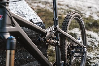 MK403754 MK403754