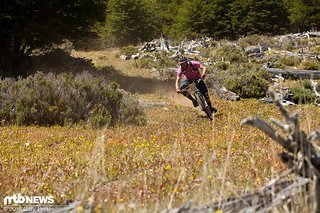 Bei hohen Geschwindigkeiten profitierte man von der guten Balance des Bikes