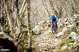 Steinwüsten in Kroatien: Die Sicherheit, mit der sich das Scott bei hohen Geschwindigkeiten durch technische Sektionen bewegen lässt, ist für ein Cross Country-Bike beeindruckend