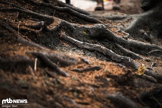 Das untere Drittel der Strecke folgt teilweise der bestehenden Bike Park-Strecke Shanghai