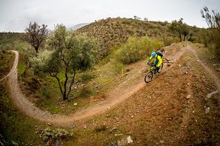 Hier fühlt sich das Rad wohl: Flowige Trails mit nicht zu steilen Auf- und Abstiegen Hier fühlt sich das Rad wohl: Flowige Trails mit nicht zu steilen Auf- und Abstiegen