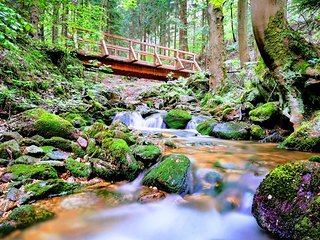 Eine der Trailbrücken irgendwo auf einem Flowtrail.