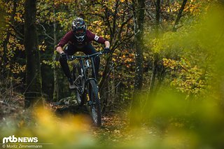 specialized-cannibal-9510 specialized-cannibal-9510