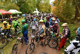150 bunte Vögel 150 bunte Vögel
