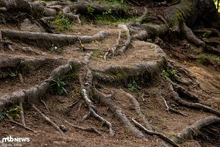 Tut schon beim bloßen Hinschauen weh … Tut schon beim bloßen Hinschauen weh …
