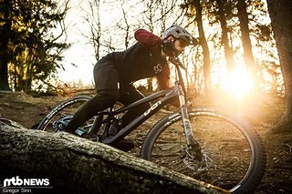 Last-Tarvo-Action-9022 Last-Tarvo-Action-9022