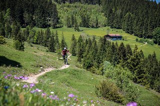 Alpenfeeling im Chiemgau