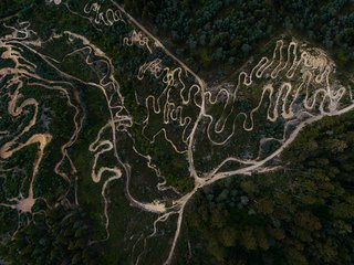 Trails, anyone?