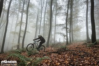 Auch im diesigen Herbstwald in eher feuchten Bedingungen liefert das Pedal eine hohe Standfestigkeit.