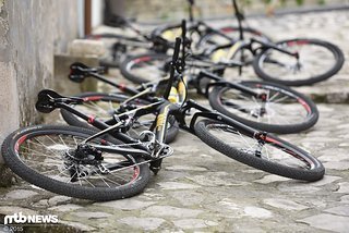 Alle Fahrern steht fast das gesamte Portfolio von Rose zur Verfügung
