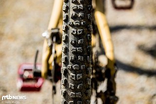 In Sachen Reifen setzt Peaty auf einen Maxxis Aggressor am Heck und einen Minion DHF an der Front