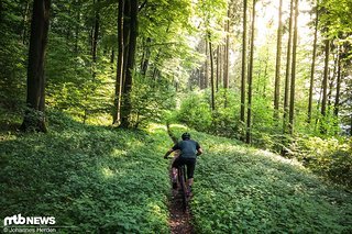 Das fertige Ergebnis: Mit einem leichten Beschnitt und geringer Bearbeitung haben wir dank Burst Mode ein schickes Foto rausbekommen