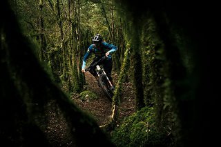 Ein Flowtrail durch den Urwald Ein Flowtrail durch den Urwald