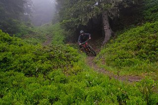 Trotz des durchnässten Bodens konnte man den Gashahn gut offen lassen. Trotz des durchnässten Bodens konnte man den Gashahn gut offen lassen.