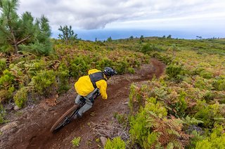 Links, rechts, links … so schlängeln sich die Trails im Westen nach unten.