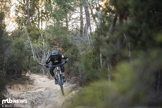 Eins ist klar: Das Canyon Strive ist kein Sofa! Eins ist klar: Das Canyon Strive ist kein Sofa!