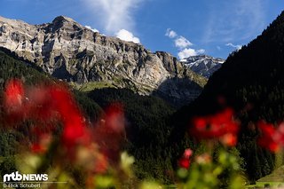Die Aussicht könnte schlechter sein.