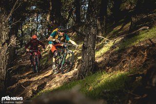 Frischer Trail - besser gehts nicht! Im oberen Teil wechseln sich Sonne und Schatten ab