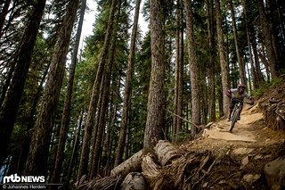Auf schnellen Trails bleibt die Bremse bleibt gerne offen. Auf schnellen Trails bleibt die Bremse bleibt gerne offen.