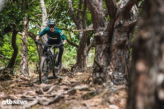 Der Hinterbau fühlt sich nach mehr als den angegebenen 130 mm Federweg an und sorgt für eine ausgezeichnete Downhill-Performance. Der Hinterbau fühlt sich nach mehr als den angegebenen 130 mm Federweg an und sorgt für eine ausgezeichnete Downhill-Performance.