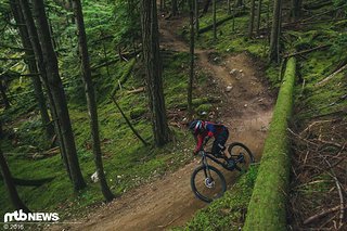 Im Park braucht es zumeist mehr Lowspeed-Druckstufe. Mit der Öhlins ist die sehr schnell und einfach reingedreht. Im Park braucht es zumeist mehr Lowspeed-Druckstufe. Mit der Öhlins ist die sehr schnell und einfach reingedreht.
