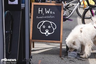 An der H2 Wau-Station bei Cosmic Sports gabs auch für die Vierbeiner etwas zu trinken.