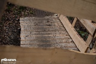 IMG 4319