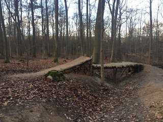 Auch auf dem Wildhog-Trail gibt es einige neue Features Auch auf dem Wildhog-Trail gibt es einige neue Features