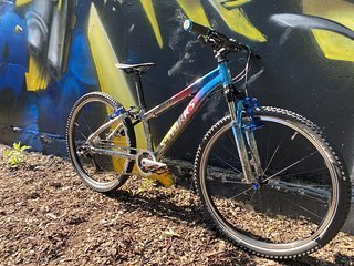 Das Specialized Hotrock von IBC-User stefanolo Das Specialized Hotrock von IBC-User stefanolo