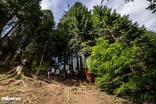 Die Strecke ist insgesamt ein ordentliches Stück langsamer als Loudenvielle oder Leogang, aber trotzdem wird's hier am Samstag richtig zur Sache gehen. Die Strecke ist insgesamt ein ordentliches Stück langsamer als Loudenvielle oder Leogang, aber trotzdem wird's hier am Samstag richtig zur Sache gehen.