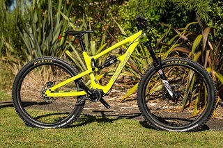 Zerode Taniwha