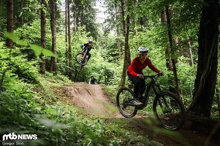 Der Sansily-Trail verläuft in einem sehr grünen Wald und bietet sehr viele, recht enge Richtungswechsel Der Sansily-Trail verläuft in einem sehr grünen Wald und bietet sehr viele, recht enge Richtungswechsel