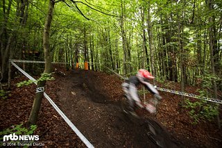 Dunkel im Wald, hell ausserhalb - nicht einfach für die Fahrer! Dunkel im Wald, hell ausserhalb - nicht einfach für die Fahrer!