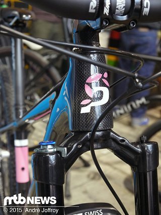 Pasculli 29er Steuerrohr und DT Swiss OPM Gabel