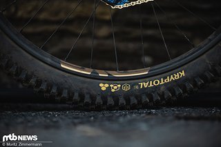 worlds-bikes-frameworks-asa-99799 worlds-bikes-frameworks-asa-99799