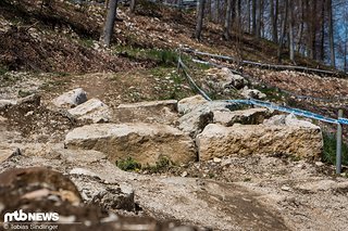 IMG 4252