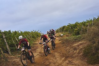 UCI Women during Stage 5 of the 2025 Absa Cape Epic Mountain Bike stage race held from Fairview, Paarl, to Lourensford Wine Estate, Somerset West, Cape Town, South Africa on the 21st March 2025. Photo by Michael Chiaretta/Cape Epic
PLEASE ENSURE THE 