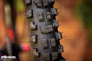 Für alle, die auf der Suche nach einem traktionsstarken Reifen für die allermeisten Bike Park- und Downhill-Strecken sind, ist der Specialized Cannibal ein heißer Tipp. Für alle, die auf der Suche nach einem traktionsstarken Reifen für die allermeisten Bike Park- und Downhill-Strecken sind, ist der Specialized Cannibal ein heißer Tipp.